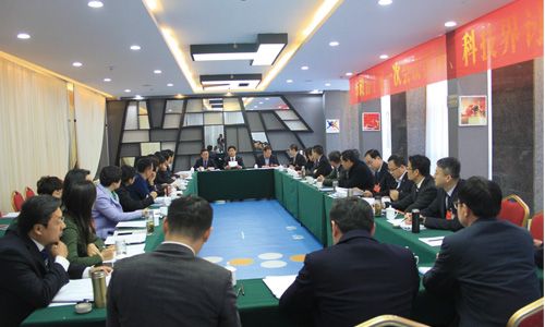 政協(xié)委員分組討論劉星泰講話審議市政協(xié)常委會工作報(bào)告和提案工作報(bào)告